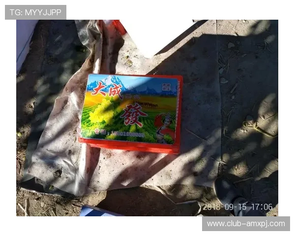 新葡萄娱乐城官网平台：安全可靠的线上博彩体验推荐