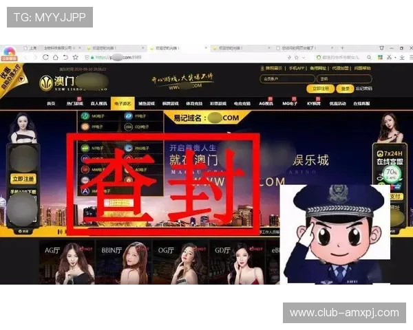 新普京在线注册公司平台优势全面解析