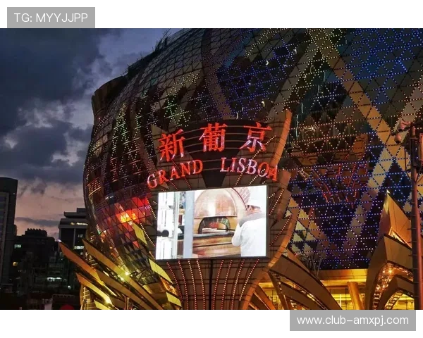 新葡京娱乐网址官方网站：全面介绍平台特色与最新优惠活动