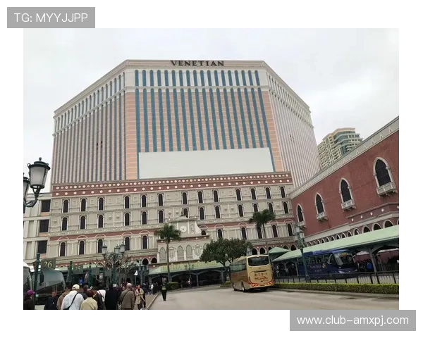 澳门威尼斯人视频在线观看技巧与注意事项，助你轻松掌握最新娱乐资源获取方式