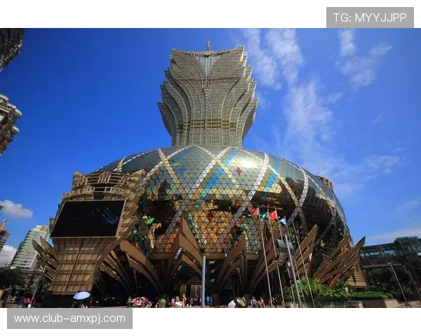 澳门新葡京445用户评价与口碑分析真实玩家体验分享与建议