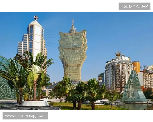 澳门新葡京娱乐官网入口官方平台，提供多种便捷登录方式保障用户体验